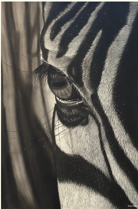 Size: 60*80cm Medium: Charcoal pencil on Bristol paperYear: 2024